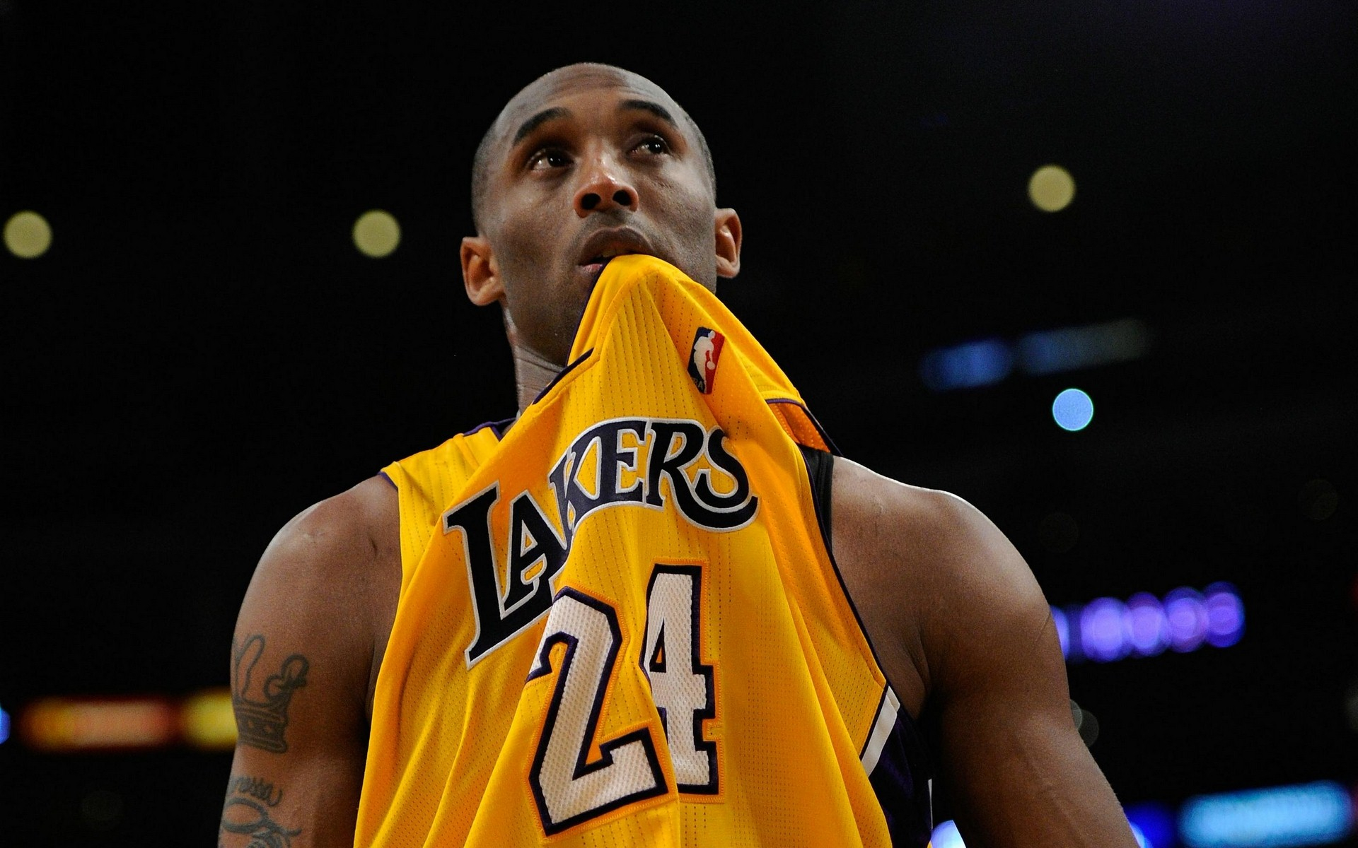 丰富的冰雪 丰富的冰雪