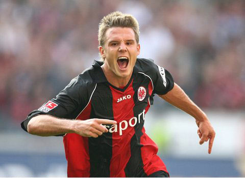 供了新的可 供了新的可