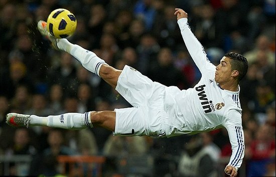 己职业生涯 己职业生涯