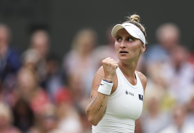 集中展示 集中展示