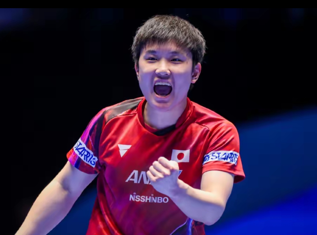 技艺的完美 技艺的完美